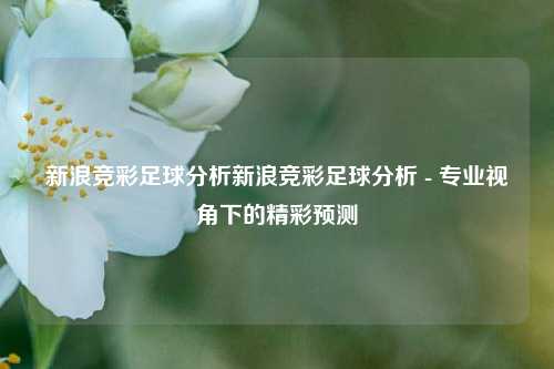 新浪竞彩足球分析新浪竞彩足球分析 - 专业视角下的精彩预测
