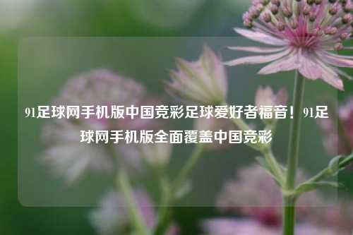 91足球网手机版中国竞彩足球爱好者福音！91足球网手机版全面覆盖中国竞彩