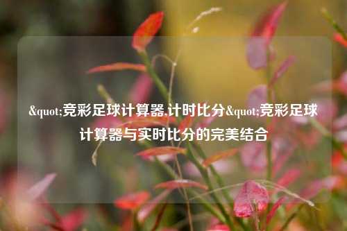 "竞彩足球计算器,计时比分"竞彩足球计算器与实时比分的完美结合