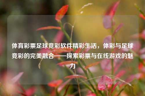 体育彩票足球竞彩软件精彩生活，体彩与足球竞彩的完美融合——探索彩票与在线游戏的魅力