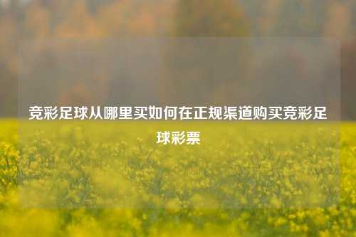 竞彩足球从哪里买如何在正规渠道购买竞彩足球彩票