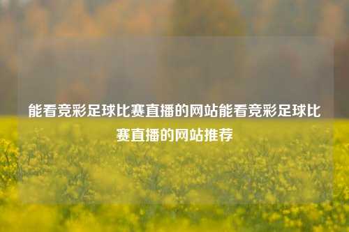 能看竞彩足球比赛直播的网站能看竞彩足球比赛直播的网站推荐