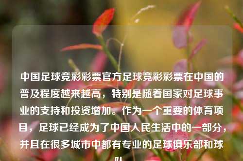 中国足球竞彩彩票官方足球竞彩彩票在中国的普及程度越来越高，特别是随着国家对足球事业的支持和投资增加。作为一个重要的体育项目，足球已经成为了中国人民生活中的一部分，并且在很多城市中都有专业的足球俱乐部和球队。