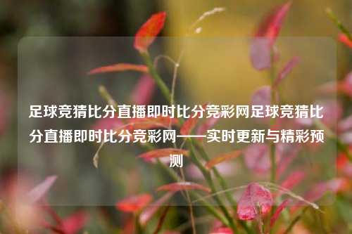 足球竞猜比分直播即时比分竞彩网足球竞猜比分直播即时比分竞彩网——实时更新与精彩预测