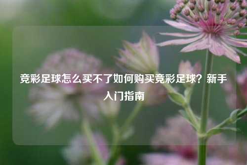 竞彩足球怎么买不了如何购买竞彩足球？新手入门指南