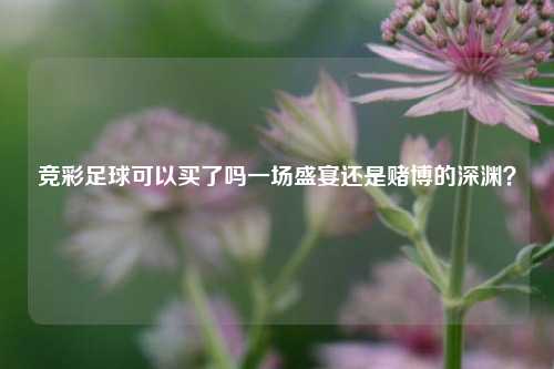 竞彩足球可以买了吗一场盛宴还是赌博的深渊？