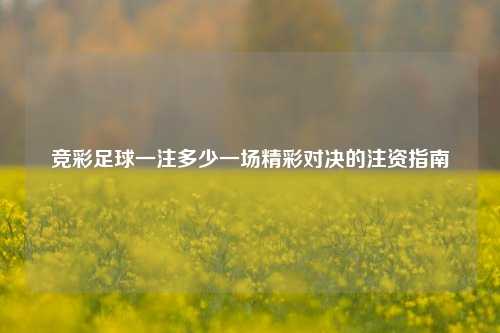 竞彩足球一注多少一场精彩对决的注资指南