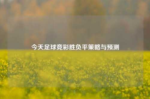 今天足球竞彩胜负平策略与预测