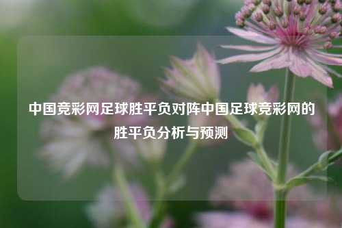 中国竞彩网足球胜平负对阵中国足球竞彩网的胜平负分析与预测