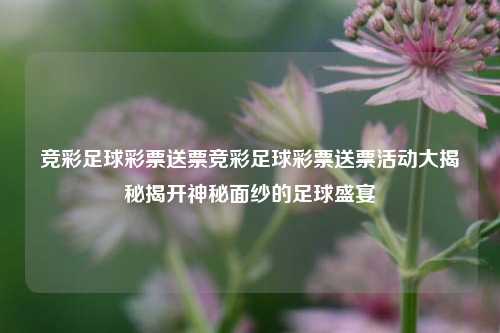 竞彩足球彩票送票竞彩足球彩票送票活动大揭秘揭开神秘面纱的足球盛宴