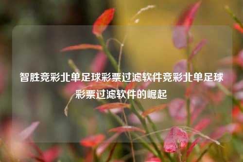 智胜竞彩北单足球彩票过滤软件竞彩北单足球彩票过滤软件的崛起