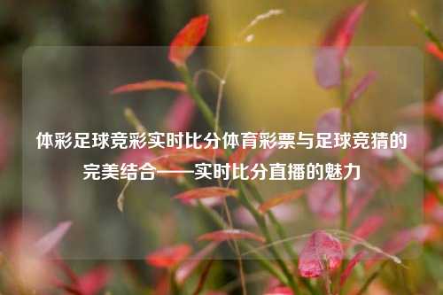 体彩足球竞彩实时比分体育彩票与足球竞猜的完美结合——实时比分直播的魅力