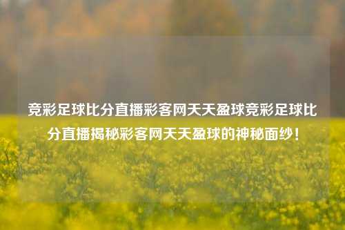 竞彩足球比分直播彩客网天天盈球竞彩足球比分直播揭秘彩客网天天盈球的神秘面纱！