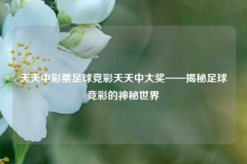 天天中彩票足球竞彩天天中大奖——揭秘足球竞彩的神秘世界