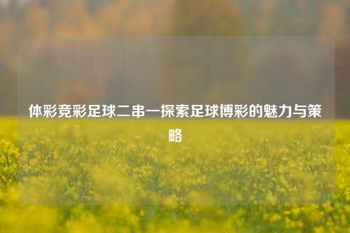 体彩竞彩足球二串一探索足球博彩的魅力与策略