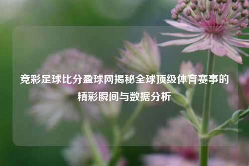 竞彩足球比分盈球网揭秘全球顶级体育赛事的精彩瞬间与数据分析