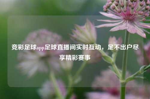竞彩足球app足球直播间实时互动，足不出户尽享精彩赛事