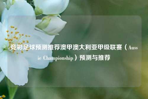 竞彩足球预测推荐澳甲澳大利亚甲级联赛（Aussie Championship）预测与推荐