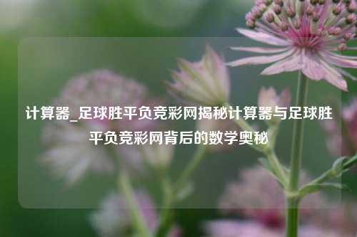 计算器_足球胜平负竞彩网揭秘计算器与足球胜平负竞彩网背后的数学奥秘