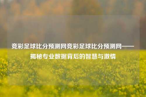 竞彩足球比分预测网竞彩足球比分预测网——揭秘专业数据背后的智慧与激情