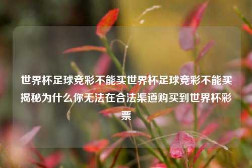 世界杯足球竞彩不能买世界杯足球竞彩不能买揭秘为什么你无法在合法渠道购买到世界杯彩票