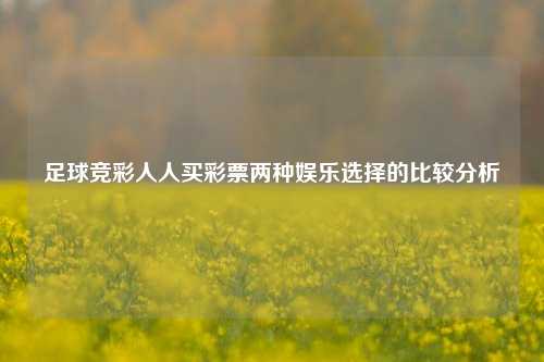 足球竞彩人人买彩票两种娱乐选择的比较分析