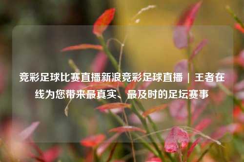 竞彩足球比赛直播新浪竞彩足球直播 | 王者在线为您带来最真实、最及时的足坛赛事