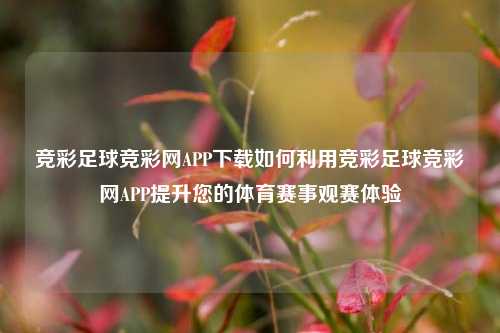竞彩足球竞彩网APP下载如何利用竞彩足球竞彩网APP提升您的体育赛事观赛体验