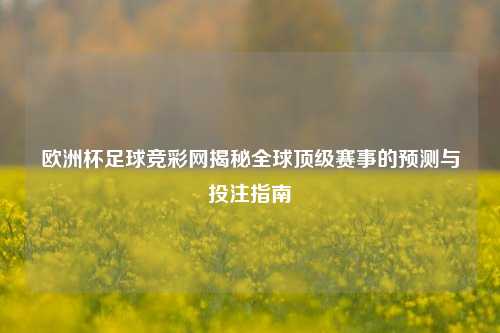 欧洲杯足球竞彩网揭秘全球顶级赛事的预测与投注指南