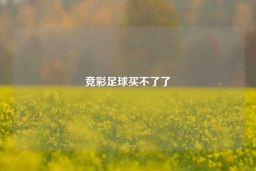 竞彩足球买不了了