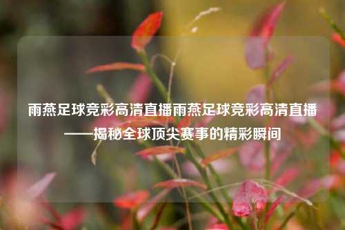 雨燕足球竞彩高清直播雨燕足球竞彩高清直播——揭秘全球顶尖赛事的精彩瞬间