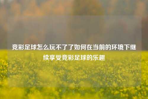 竞彩足球怎么玩不了了如何在当前的环境下继续享受竞彩足球的乐趣