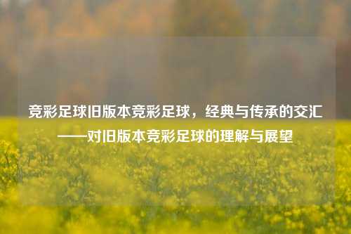 竞彩足球旧版本竞彩足球，经典与传承的交汇——对旧版本竞彩足球的理解与展望