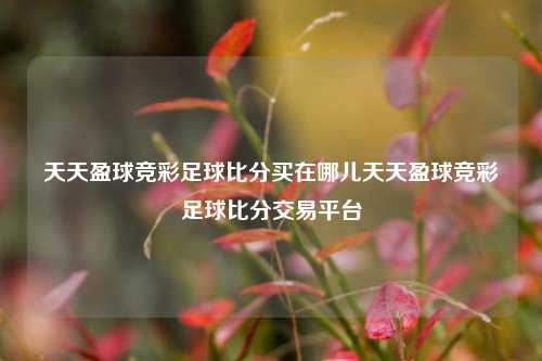 天天盈球竞彩足球比分买在哪儿天天盈球竞彩足球比分交易平台