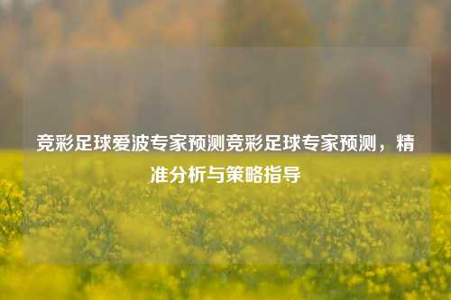 竞彩足球爱波专家预测竞彩足球专家预测，精准分析与策略指导