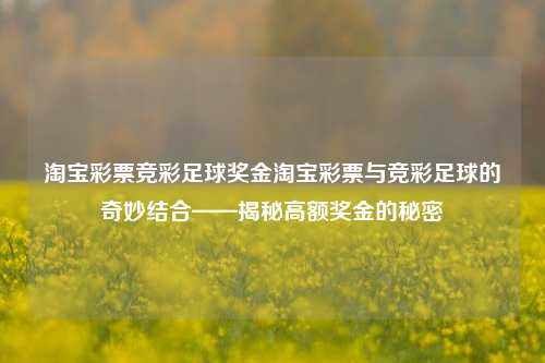 淘宝彩票竞彩足球奖金淘宝彩票与竞彩足球的奇妙结合——揭秘高额奖金的秘密