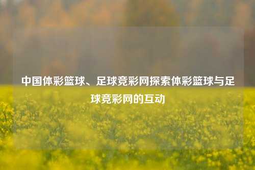 中国体彩篮球、足球竞彩网探索体彩篮球与足球竞彩网的互动