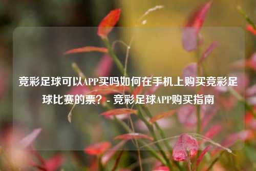 竞彩足球可以APP买吗如何在手机上购买竞彩足球比赛的票？- 竞彩足球APP购买指南