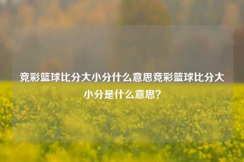 竞彩篮球比分大小分什么意思竞彩篮球比分大小分是什么意思？