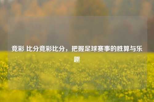 竞彩 比分竞彩比分，把握足球赛事的胜算与乐趣