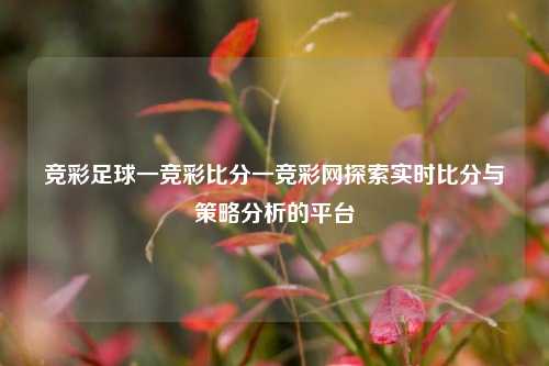 竞彩足球一竞彩比分一竞彩网探索实时比分与策略分析的平台