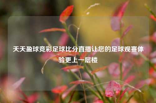 天天盈球竞彩足球比分直播让您的足球观赛体验更上一层楼