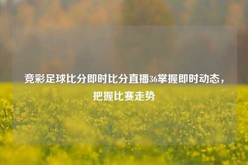 竞彩足球比分即时比分直播36掌握即时动态，把握比赛走势