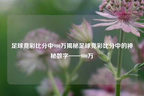 足球竞彩比分中900万揭秘足球竞彩比分中的神秘数字——900万