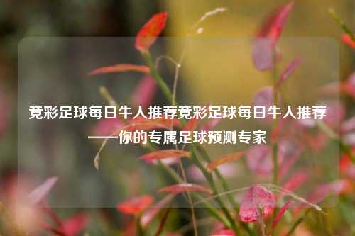 竞彩足球每日牛人推荐竞彩足球每日牛人推荐——你的专属足球预测专家