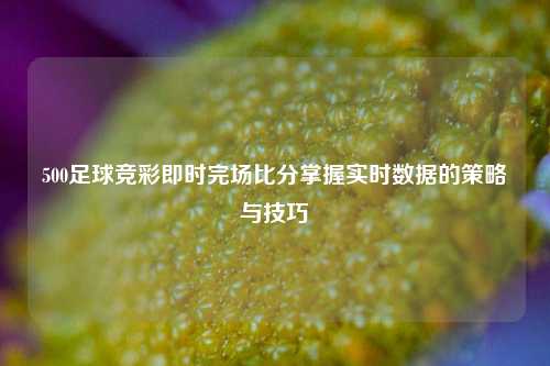 500足球竞彩即时完场比分掌握实时数据的策略与技巧
