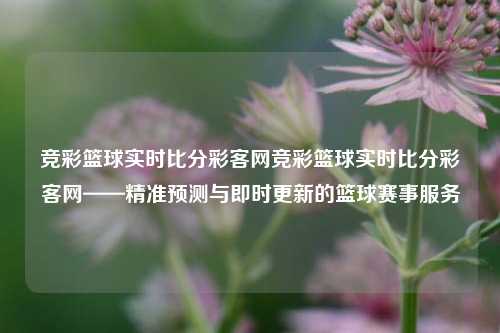 竞彩篮球实时比分彩客网竞彩篮球实时比分彩客网——精准预测与即时更新的篮球赛事服务