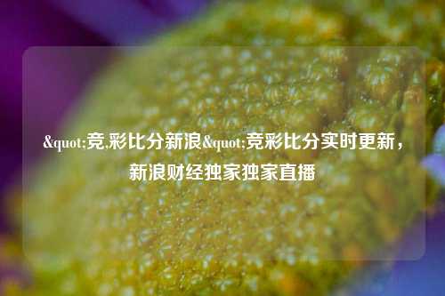 "竞,彩比分新浪"竞彩比分实时更新，新浪财经独家独家直播