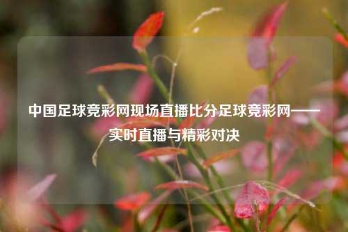 中国足球竞彩网现场直播比分足球竞彩网——实时直播与精彩对决