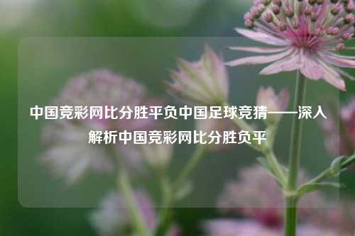 中国竞彩网比分胜平负中国足球竞猜——深入解析中国竞彩网比分胜负平